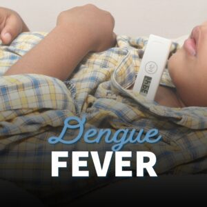 What You Should Know About Dengue Fever