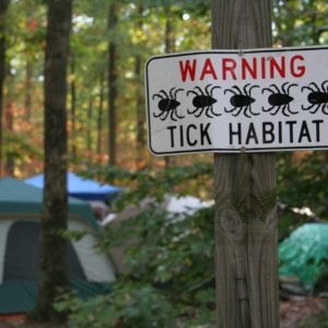 All About Ticks